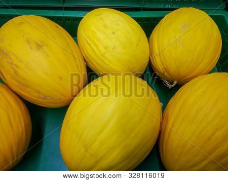 Set Of Yellow Melon Isolated On Green Background With Clipping Path