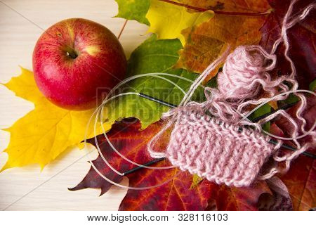 Knitting Concept. Autumn Background With Knitting Needles And Pink Knitting On Multicolored Maple Le