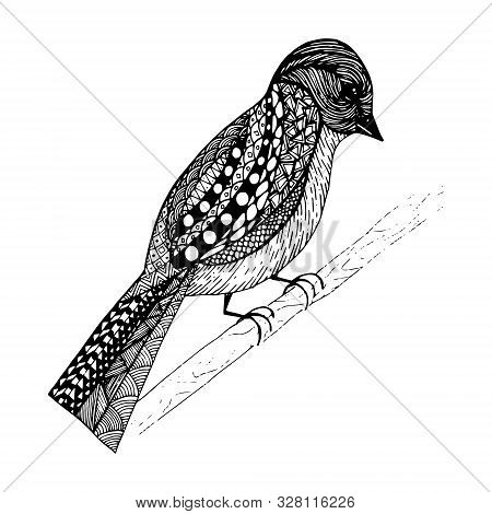 Hand Drawn Bird Sitting On The Branch Isolated On White Background