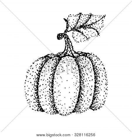 Drawing Of Pumpkin - Hand Sketch, Black And White Illustration