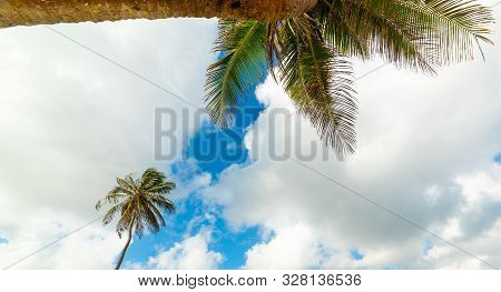 Cloudy Sky Over Palm Trees In Le Moule Seafront In Guadeloupe, French West Indies. Lesser Antilles, 