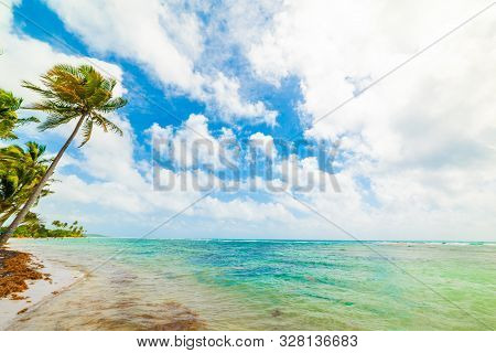Bois Jolan Beach In Guadeloupe, French West Indies. Lesser Antilles, Caribbean Sea