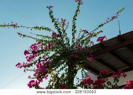 Architecture Details Of Greek Houses On Kos Island Greece