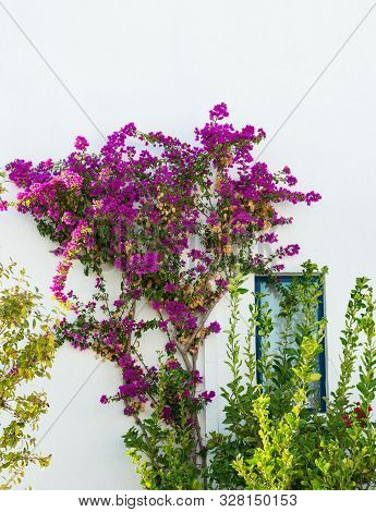 Architecture Details Of Greek Houses On Kos Island Greece