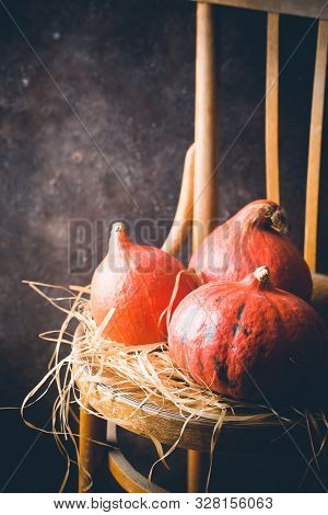 Autumn Background With Three Mini Pumpkins On Wooden Chair On Dark Background, Rustic Style