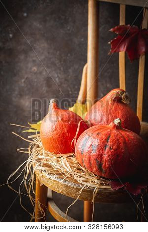 Autumn Background With Three Mini Pumpkins On Wooden Chair On Dark Background, Rustic Style