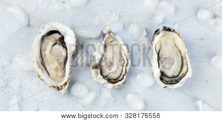 Fresh Raw Oysters On Ice, Overhead Panoramic Close-up Shot