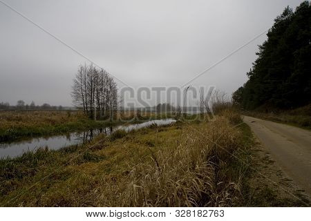 Beautiful Polish Autumn Cold Gray Cloudy November Landscape Of Podlasie With The River Bug