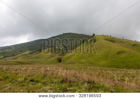 Savanna And Green Hill Of Mt. Kursi In Bromo Tengger National Park.