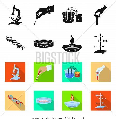 Vector Design Of Pharmacy And Education Icon. Set Of Pharmacy And Pharmacology Stock Vector Illustra