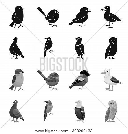 Vector Illustration Of Animal And Wild Symbol. Collection Of Animal And Natural Vector Icon For Stoc