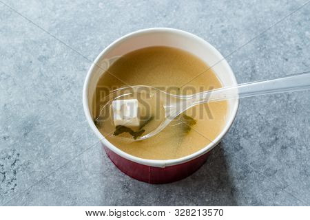 Take Away Asian Food Wonton Soup With Bok Choy And Chives In Plastic Bowl Package Or Container Box. 