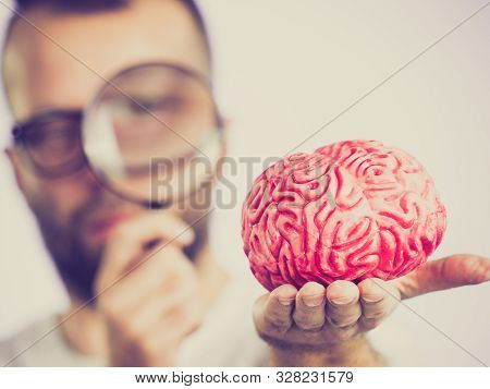 Adult Nerd Man Wearing Eyeglasses Looking At Human Brain Model. Thinking And Intelligence Conept
