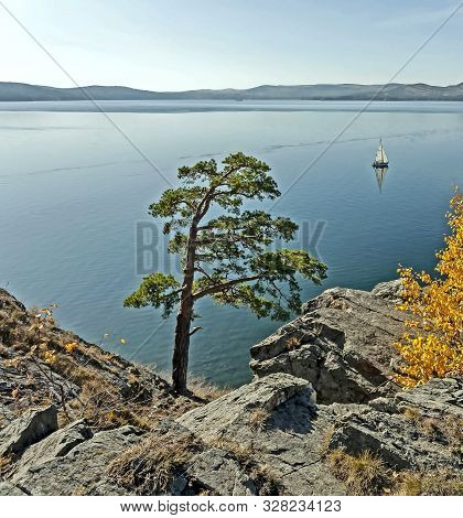 Lonely Pine Tree On The Rocky Shore Of Lake Turgoyak In The Southern Urals, The Lake Is Also Called 