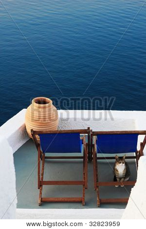 Mostra sulla caldera e il mare dal balcone, con un gatto sotto il sunced di Santorini, Grecia