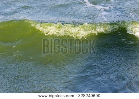 Green Water In The Sea Lagoon. The Lagoon Is A Bay Separated From The Sea. The Color Of Water Is Due