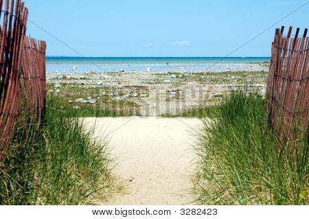 Dune Gras und Wind Pause