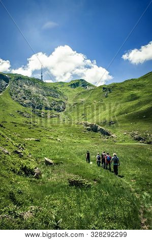 Hikers Walking On Trail. Group Of People Hiking In Mountains With Blooming Meadows And Mountain Peak