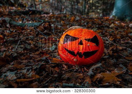 Halloween Pumpkin In The Forest. Scary Pumpkin Decorations With Creepy Toothy Smile At Wood Backgrou