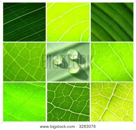 Collage Wasserperlen Bege