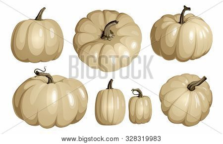White Pumpkin Isolated On White. Realistic Vector Pumpkins. Set Of White Pumpkins For Halloween And 