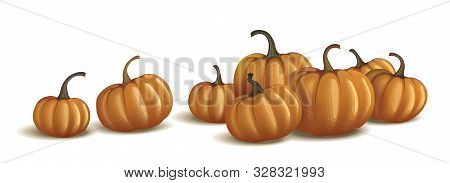 Orange Pumpkin Isolated On White And On Black. Realistic Vector Pumpkins.