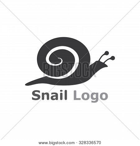 Snail Logo Template Vector Icon Illustration