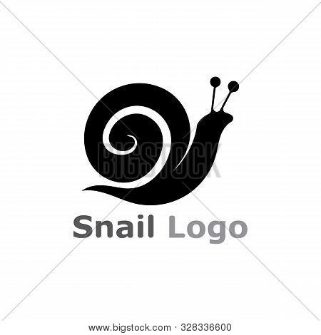 Snail Logo Template Vector Icon Illustration