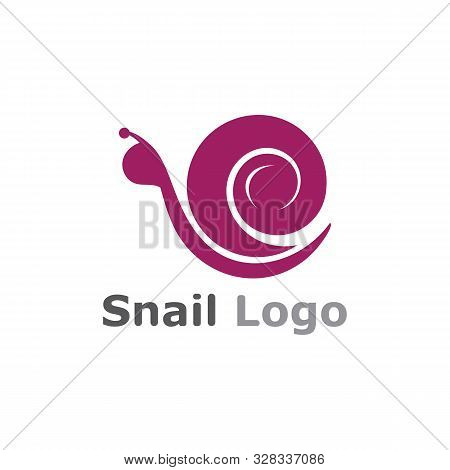 Snail Logo Template Vector Icon Illustration