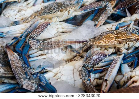 Raw Fresh Blue Crabs For Sale In Fish Market