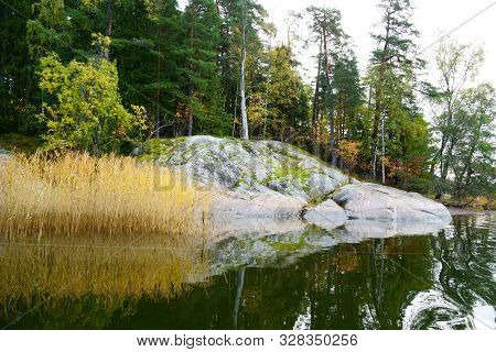 Typical Scandinavian Coast, Rocky Coast, Yellow Reeds, And If You Are Lucky, Then The Calm Baltic Se