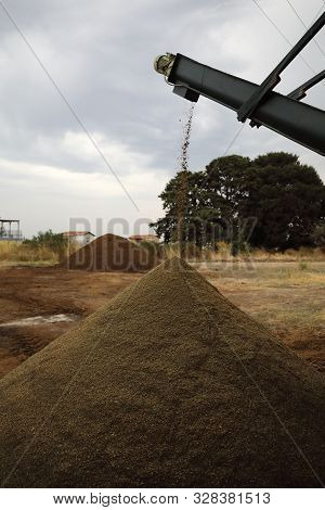 The Process Of Producing Olive Oil In A Modern Oil Mill In Northern Cyprus. Waste Production The Dry