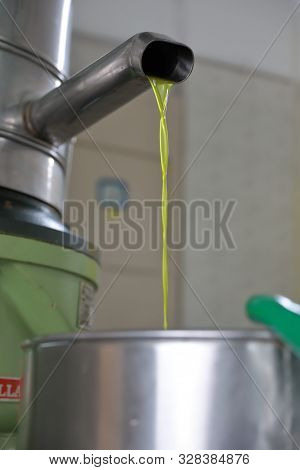 The Process Of Producing Olive Oil In A Modern Oil Mill In Northern Cyprus. Fresh Olive Oil Pouring 