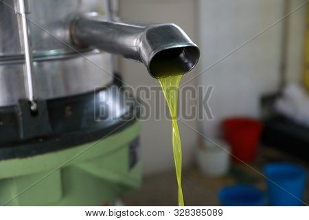 The Process Of Producing Olive Oil In A Modern Oil Mill In Northern Cyprus. Fresh Olive Oil Pouring 