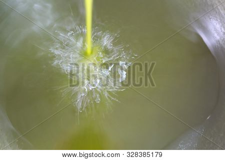 The Process Of Producing Olive Oil In A Modern Oil Mill In Northern Cyprus. Fresh Olive Oil Pouring 