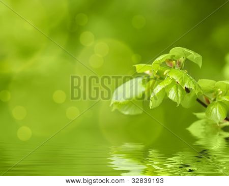 Fundo verde Primavera com foco superficial e Refflection
