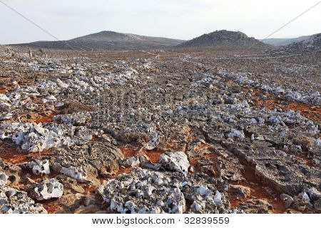 Karst field on Socotra Island