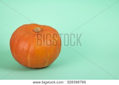 Studio Shot Of One Hokkaido Pumpkin With A Mint Green Background