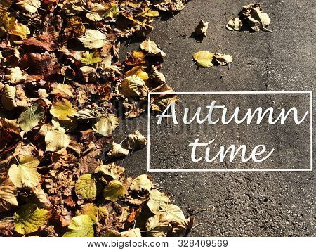 Yellow Autumn Leaves On The Asphalt Close-up. Text Autumn Time In White Rame. Autumn Background. Fal