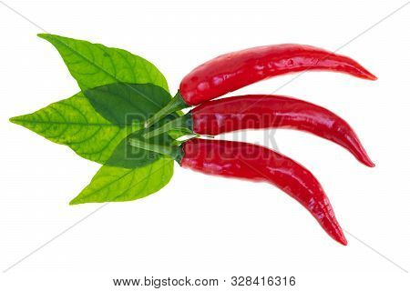 Close Up Red Hot Chili Spur Pepper At White Background