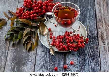 Hot Healing Tea, Mountain Ash Tea. Applied With A Lack Of Vitamins, Anemia, Metabolic Disorders. Red