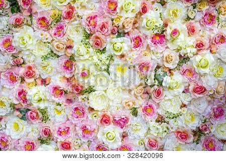 Colorful Roses Background. Many Different Colors. Different Types Of Roses