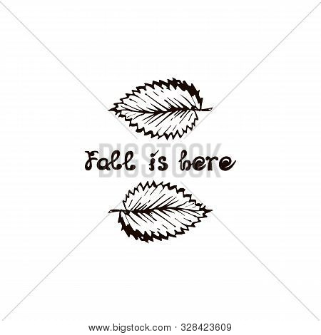 Hand Drawn Elm Leaves With Handwritten Text