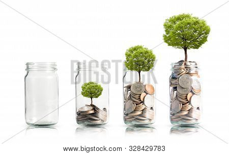 Money Coins And Tree Growing In Jar. Profit On Deposit In Bank And Dividend For Stock Investment Con
