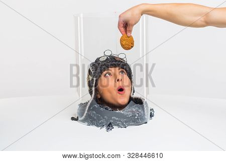 The Female Head Sees The Food, But Can Not Bite Off Because It Is Under A Transparent Cap. Restricti