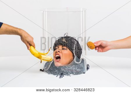 The Female Head Sees The Food, But Can Not Bite Off Because It Is Under A Transparent Cap. Restricti