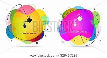 Color Watering Can Sprays Water Drops Above Marijuana Or Cannabis Plant In Pot Icon Isolated On Whit