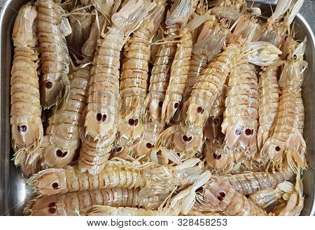 Sea Delicacy Oratosquilla Oratoria In Large Metal Pan Prepared For Cooking