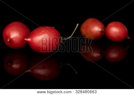 Group Of Four Whole Fresh Tomato De Barao Isolated On Black Glass