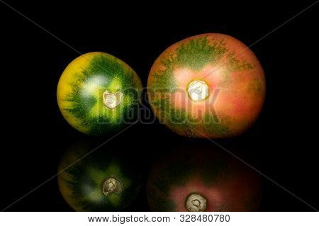 Group Of Two Whole Bright Fresh Tomato De Barao Isolated On Black Glass